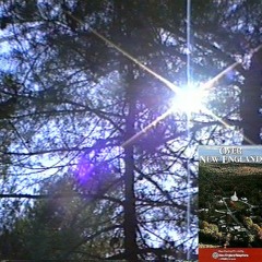 rest (wicca phase springs eternal cover)