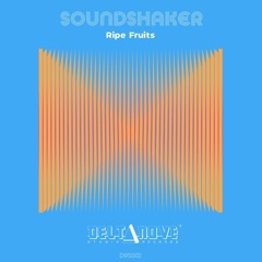 Soundshaker - She Was Right