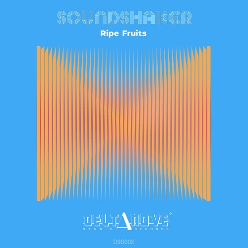 Soundshaker - Wired