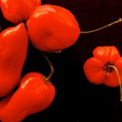 Here Come The People