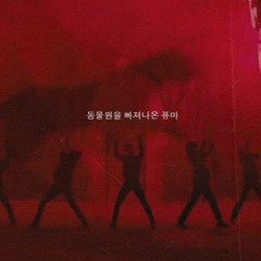 TXT  동물원을 빠져나온 퓨마 (PUMA) Piano ver.