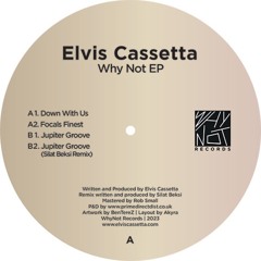 Premiere: Elvis Cassetta - Down With Us [WhyNot Records]