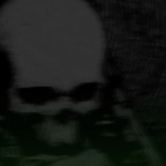 FEUERFOGEL (remix) -BLACKWORKS RECORD-