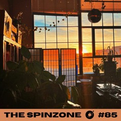 McG | The Spinzone #85