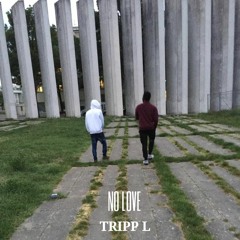 Tripp L (Lloyd$, Layel) ft. ZK - NO LOVE