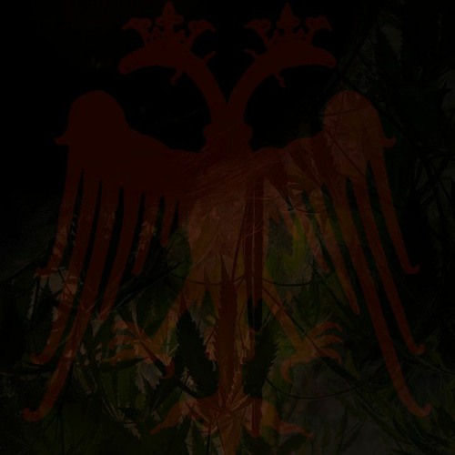 Ðaiľy-rėmindẹr|||Ṭhe-kroşşing (kos awakened) #3600 #E.K.I.A.