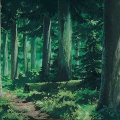 The Misty Woods with You