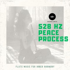 528 Hz Peace Process