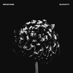 Reflections - Noir