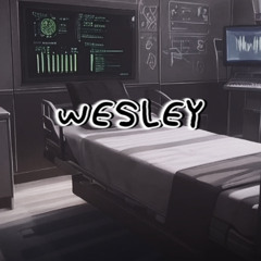 W3SL3Y (prod3rdeye)