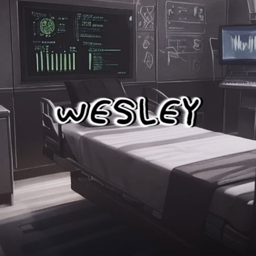 W3SL3Y (prod3rdeye)