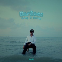 HarRooz X Stormy