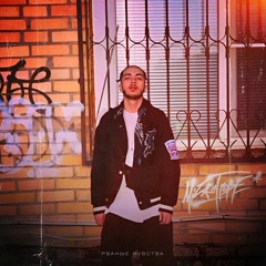 Mizantrope -  Рваные чувства