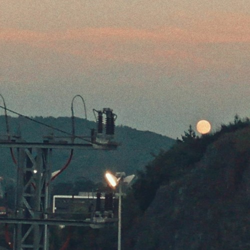 solitude - too.mny x alb