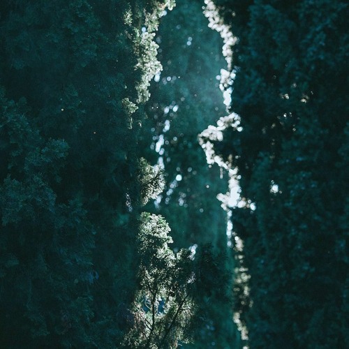| Premiere | Pauli - 1234