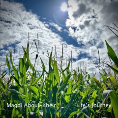 Life's Journey