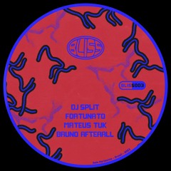 Premiere : Bruno Afterall - Digital Wet Environment (BLISS003)