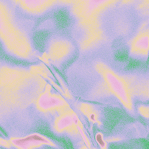 111 ◆ CCL