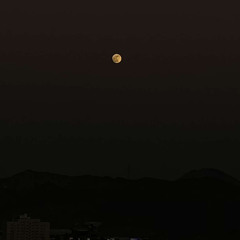 في الليالي انت قمرا في الليالي