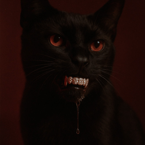 𝙍𝙚𝙙𝙧𝙖𝙜 (𝙄𝙣𝙨𝙩𝙧𝙪𝙢𝙚𝙣𝙩𝙖𝙡) - 𝙃𝙤𝙢𝙞𝙭𝙞𝙙𝙚 𝙂𝙖𝙣𝙜