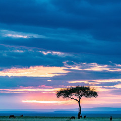 “Afro House Memories 3: Echoes of Africa”