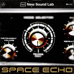 NSL001 Space Echo 201 Preview
