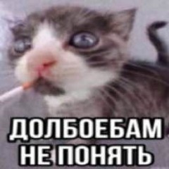 XXI))