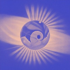 Mikkel Rev - Absorbed