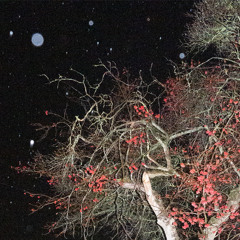 Exhaustion (900 Second Dub)