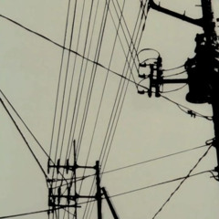 Power lines noises.