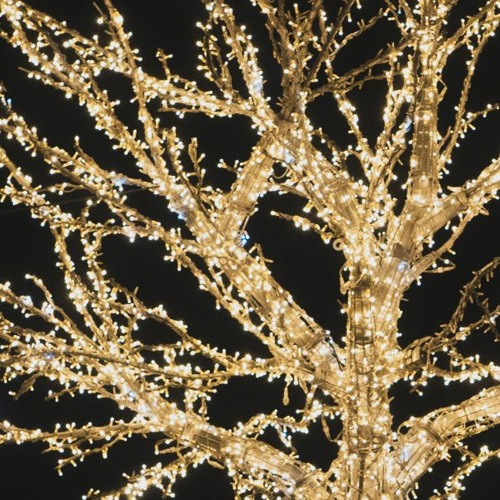 ambient starlight