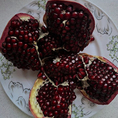 dovestopoultry by ajalife *