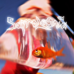 LIFE AS A CARNIVAL PRIZE.