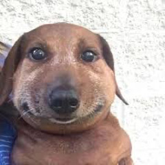 Kurwa raketa-b-Stork