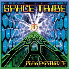 Hard Psytrance Full On Night