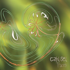 PREVIEW: Cahl Sel - Traces (REF LP10) Clips