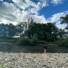 the whole team  freestyle (prod. WaveyyBeats x wylo)