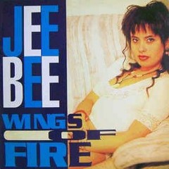 Wings Of Fire - Jee Bee