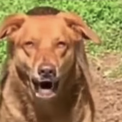 Big Picture (PROD. MIKE DIGITAL)