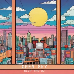 Open Sky