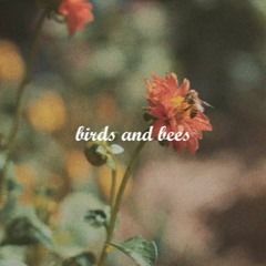 Kayou. - birds and bees