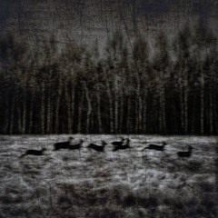 the endLess deLus!øn