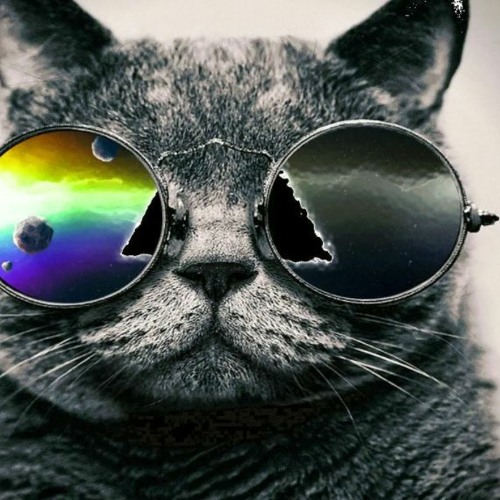 Stream Es La Musique leaves background ð¦FREE DOWNLOADððð by Soundscape