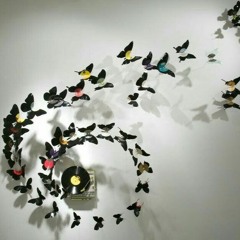 Chasing Butterflies