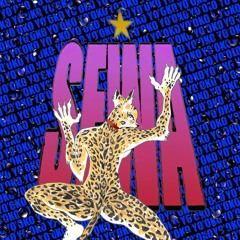 SEWA - Cat About A Heart