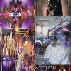 RESON 8 : WEBFLESH