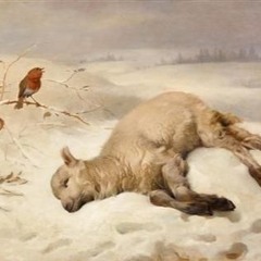 a wolf in sheep's skin (sped up)