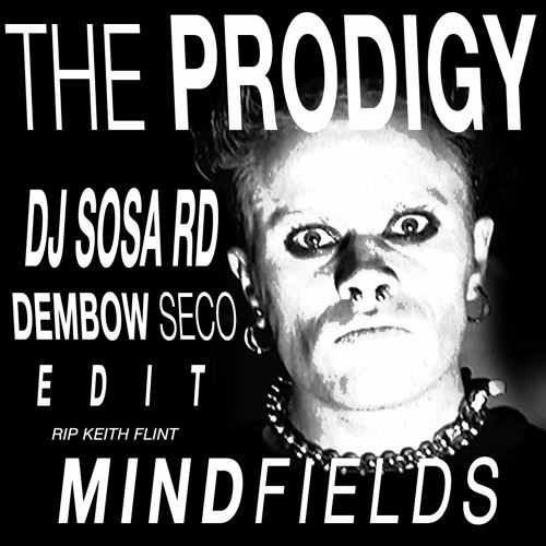 Mindfields (DEMBOW SECO EDIT)