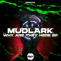 Mudlark Why Are They Here EP