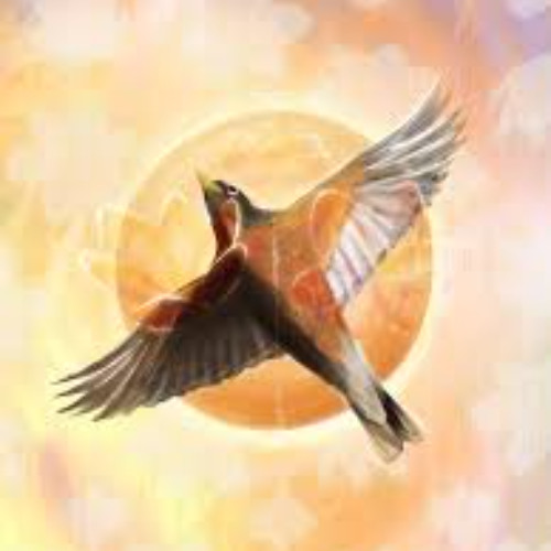 Loss of Hope vs Bluebird by Charles Bukowski